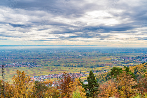 City skyline framed by trees on hill  under a sky full of cumulus clouds - Palatinate Forest