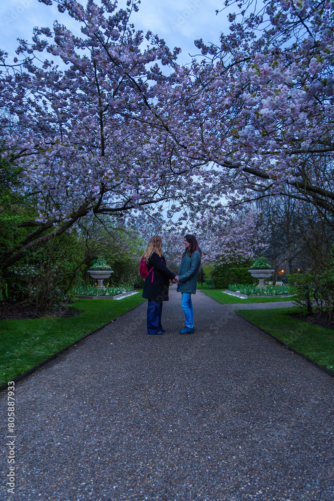 A happy and loving lesbian couple, looking at each other and holding hands in a proposal surrounded by cherry blossoms on a path in a London park at sunset, creating a romantic and bucolic atmosphere. A happy and loving lesbian couple, looking at each other and holding hands in a proposal surrounded by cherry blossoms on a path in a London park at sunset, creating a romantic and bucolic atmosphere.
