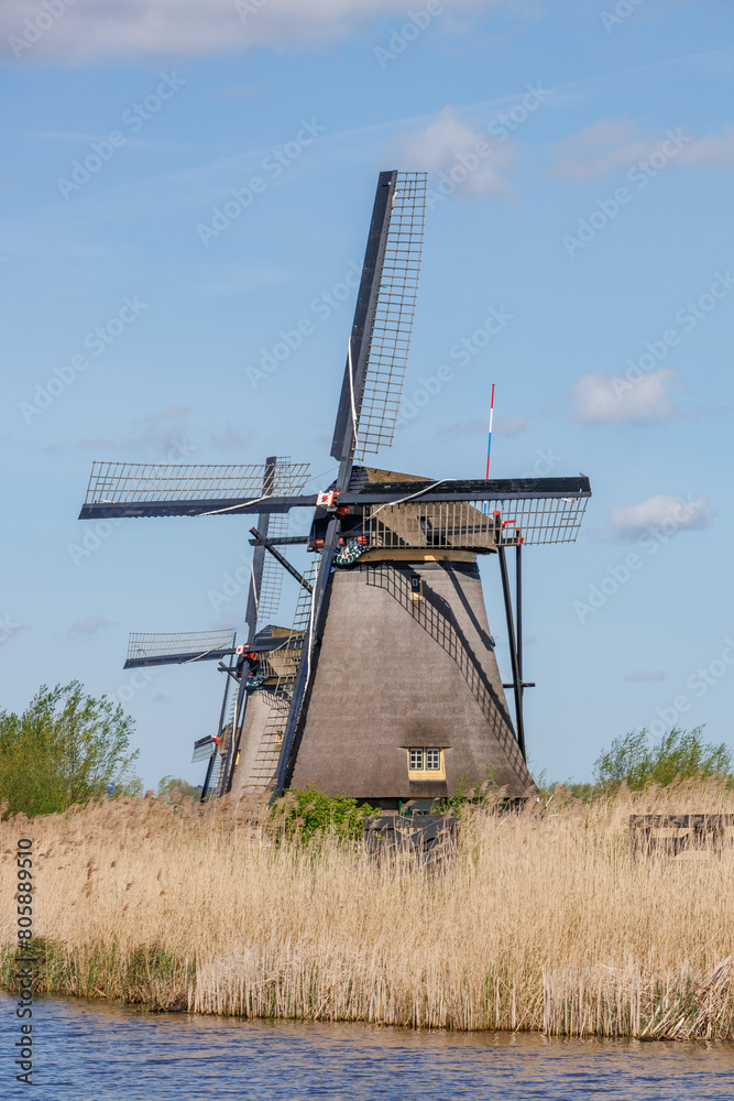 Naklejka premium Die Windmühlen von Kinderdijk
