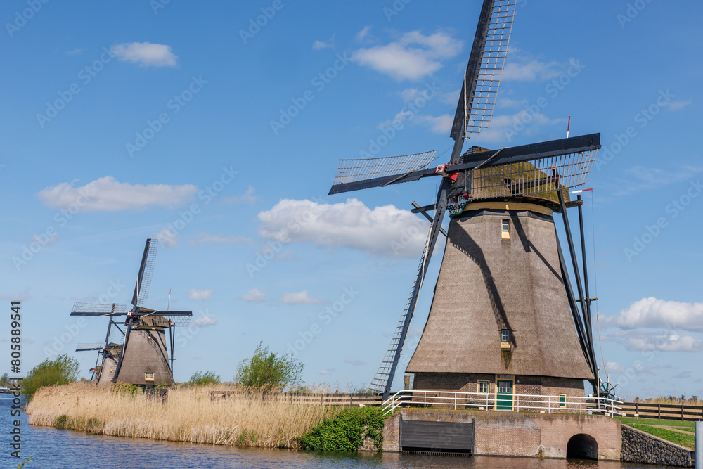 Fototapeta premium Die Windmühlen von Kinderdijk