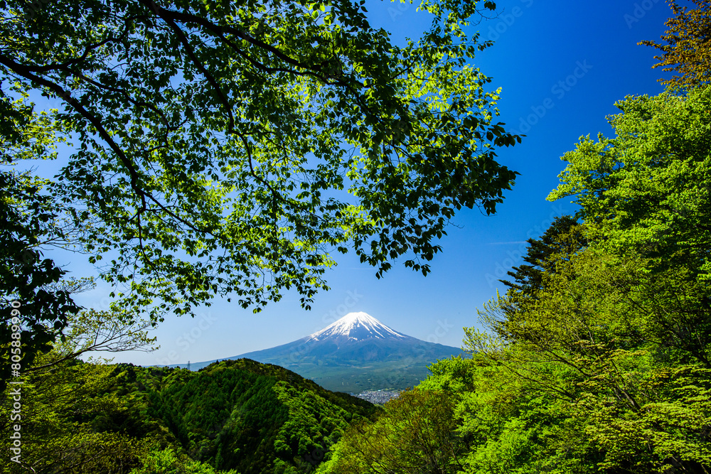 御坂峠から富士山ともみじ