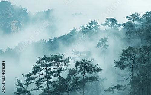 Misty scenery  delicate and otherworldly ambiance with scattered sunshine