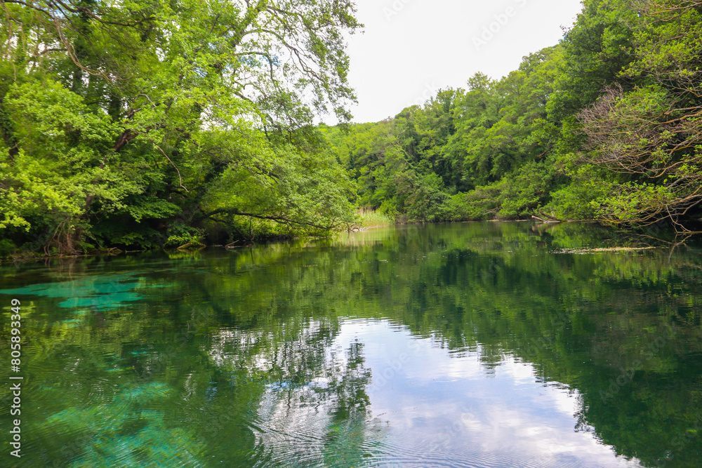 Crystal clear, green aquatic-plants full, waters of Sveti Naum (Saint Naum) springs on the Black Drim river near Ohrid lake, North Macedonia Crystal clear, green aquatic-plants full, waters of Sveti Naum (Saint Naum) springs on the Black Drim river near Ohrid lake, North Macedonia