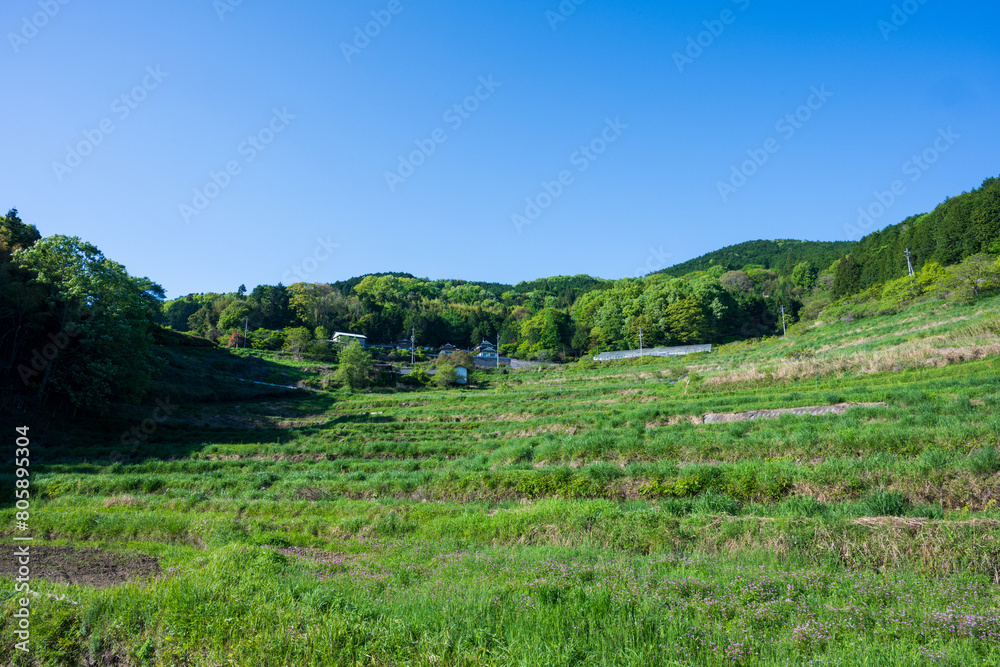日本の岡山県美咲町の棚田の美しい風景 日本の岡山県美咲町の棚田の美しい風景