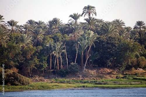 Landscape along the Nile river between Luxor and Aswan, Egypt