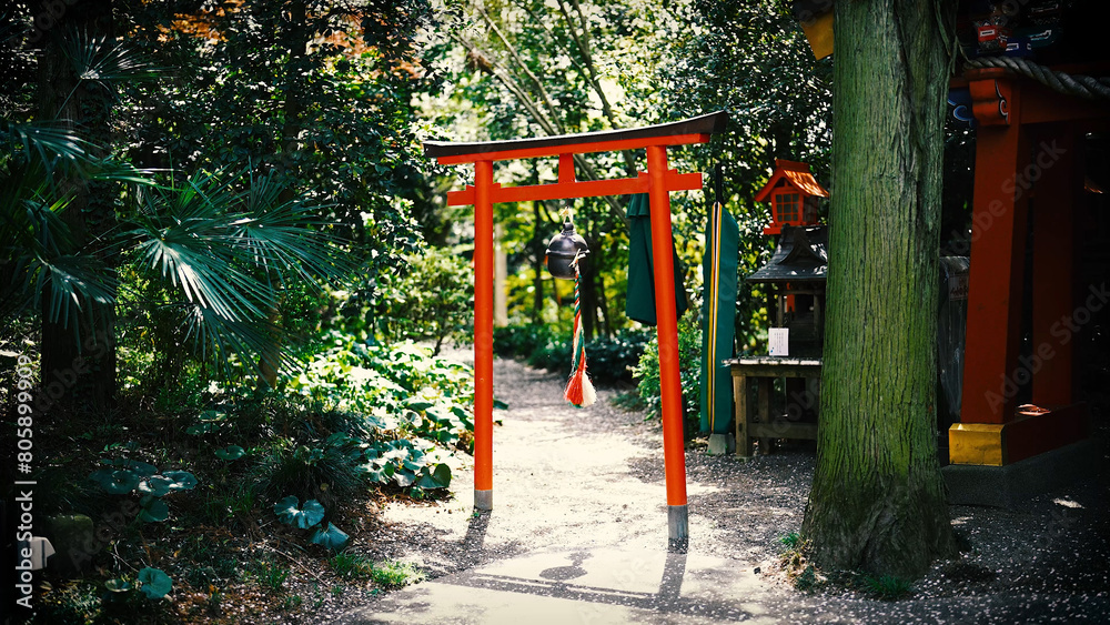 幻想的な赤い鳥居・ゲート