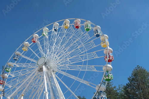 Ferris wheel in the park