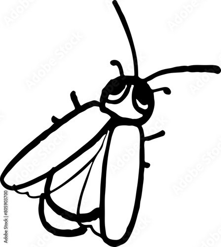 sketch firefly cute bug cartoon