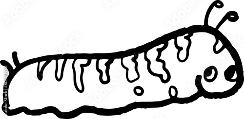 sketch worm cute carterpillar cartoon vector