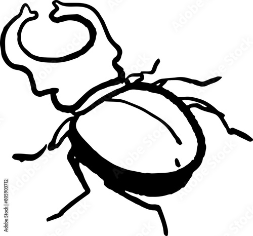 sketch insect cute beetle coloring