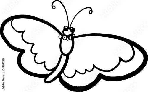 sketch butterfly insect vector hand drawn