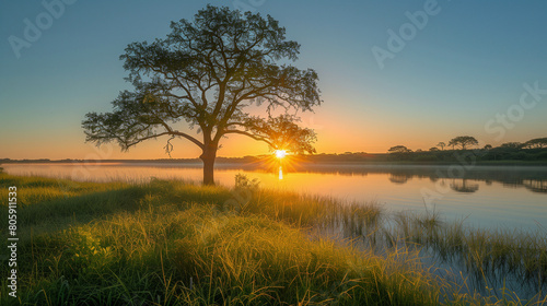 Paisaje con árbol al atardecer photo