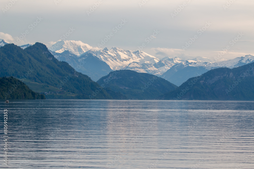 Tranquil Afternoon at Lake Lucerne with Sweeping Swiss Alps Panorama Tranquil Afternoon at Lake Lucerne with Sweeping Swiss Alps Panorama