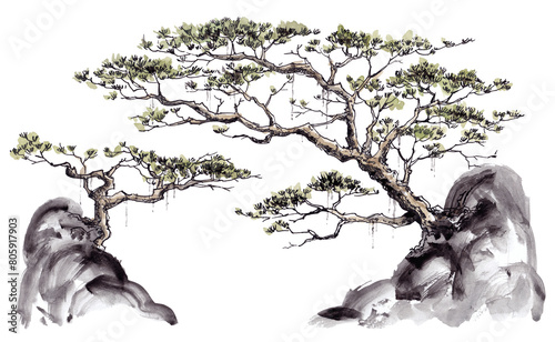 Photography Watercolor painting and lines Ancient Chinese style big tree
