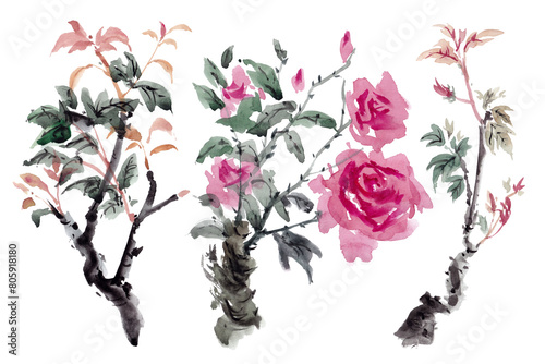 Watercolor paintings of flowers and branches in the traditional Chinese ink style. © weeramix