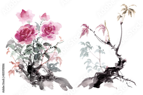 Watercolor paintings of flowers and branches in the traditional Chinese ink style2 © weeramix