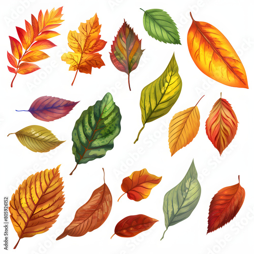 Colorful autumn leaves isolated on white background, realistic, png 