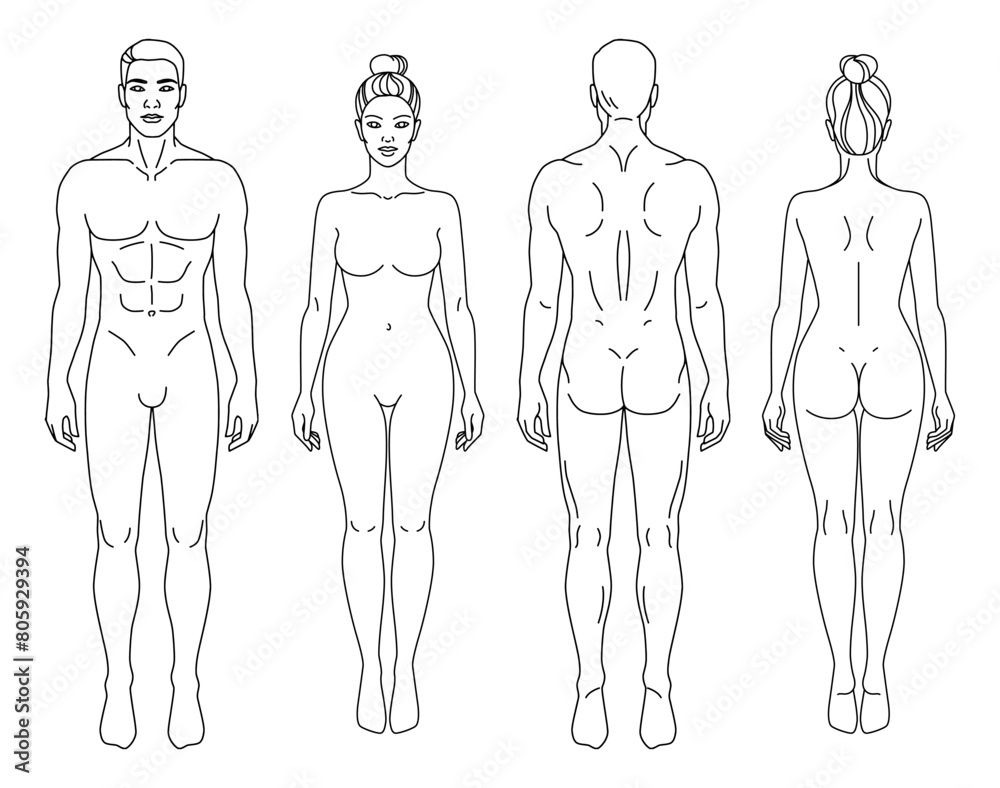© Marina Storm - Man and Woman body front and back view vector illustration. Isolated outline line contour template human body different gender without clothes. Anatomy of healthy male and female body shapes. Figure © Marina Storm - Man and Woman body front and back view vector illustration. Isolated outline line contour template human body different gender without clothes. Anatomy of healthy male and female body shapes. Figure