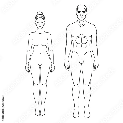 Man and Woman body front view vector illustration. Isolated outline line contour template human body different gender without clothes. Anatomy of healthy male and female body shapes. Figure