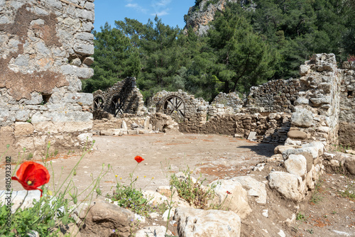 Antalya Olympos ancient city protected area