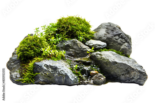 forest stream on green moss rock scenery piece isolated on a white background