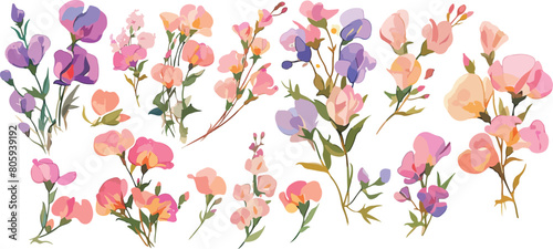 sweet pea clipart vector for graphic resources