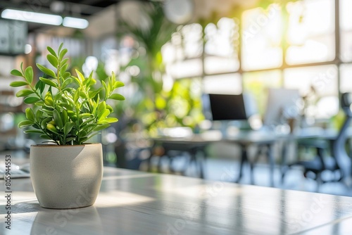 Potted plants on the table, background with natural light bokeh at work space interior background.