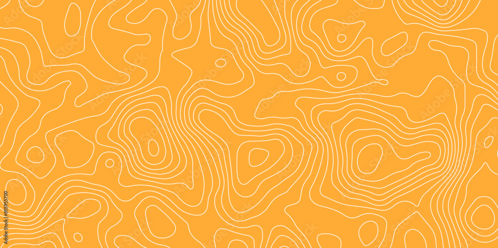 Orange topology topography vector contour map lines