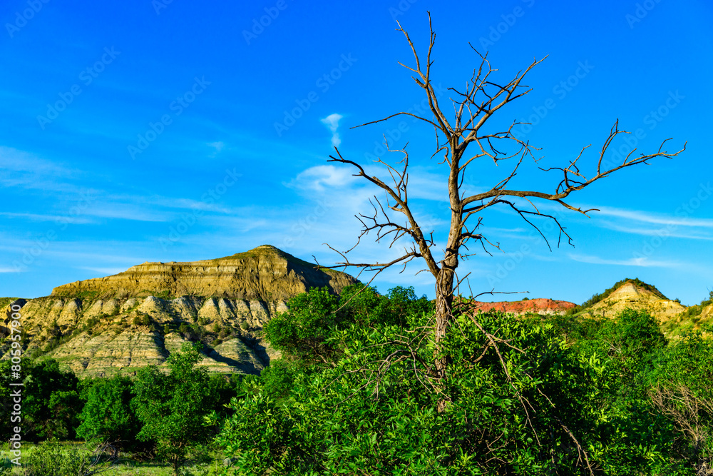 Fototapeta premium Dry tree against a background of vegetation and layered erosional geological formations, Theodore Roosevelt National Park, North Dakota, USA
