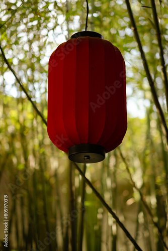 Roter Lampion vor Bambuspflanzenm
