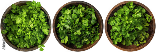 set of chervil parsley in brown wooden bowl, cut out