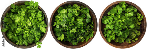 set of chervil parsley in brown wooden bowl, cut out photo