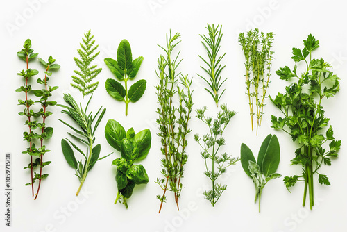 A collection of aromatic herbs, their fresh scents and vibrant hues adding flavor and beauty to culinary creations, showcased against a white backdrop. photo