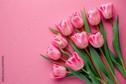 Pink Background Banner. Beautiful Spring Flowers Bouquet of Tulips on Pastel Pink Background