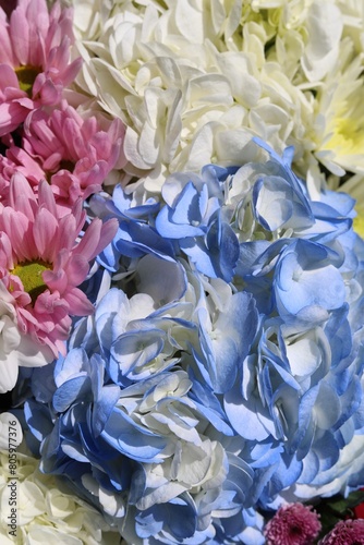 bouquet of blue and white  hortensien
