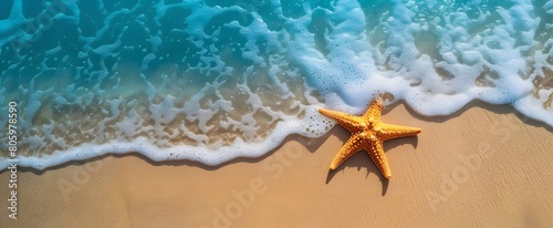  A starfish rests on the sandy beach by the clear sea water. It's a sunny summer day, perfect for relaxing on the beach with plenty of space to enjoy.