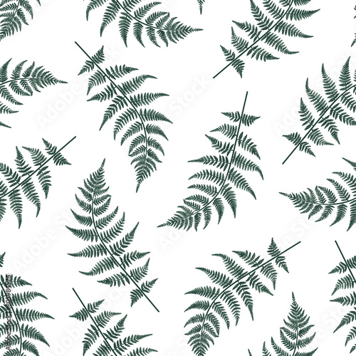 Seamless pattern with fern leaves. Vintage floral background. Green.