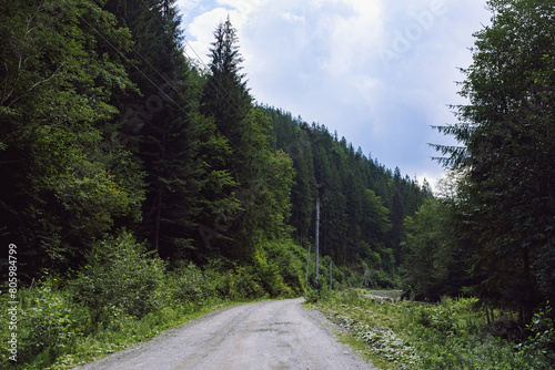 Mysticism and mystery of the Ukrainian Carpathian forest © Ванжа Юрий