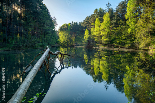 Dolina Żabnika