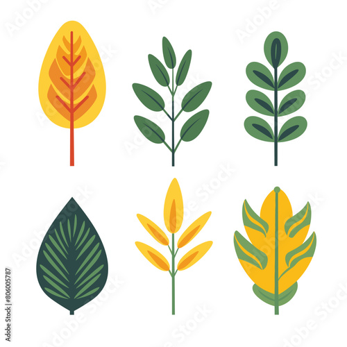 Set different leaves designs flat style, green yellow leaf illustration isolated white background. Collection various foliage patterns graphic design. Nature, botanical elements vector art