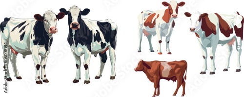 Breeds cattles farm mammal animal