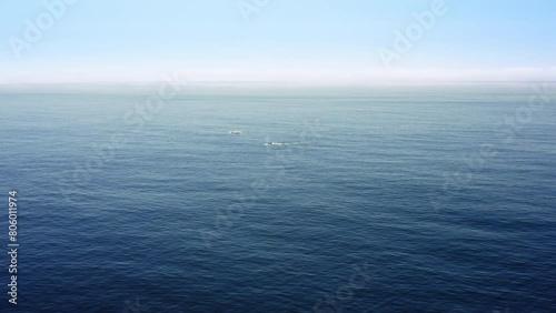 4k aerial footage high above of the blue ocean surface with the glare of sunlight. Two wild whales appear from under the water. They jumping and swim. Beautiful majestic animals in wild sea nature.