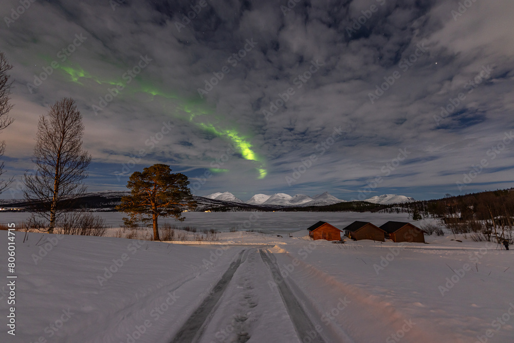 Fototapeta premium Polarlichter - Lofoten