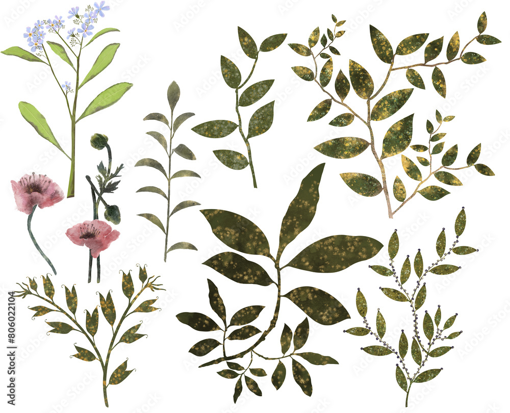 set of watercolor plants on a white background poppies forget-me-nots green branches and leaves