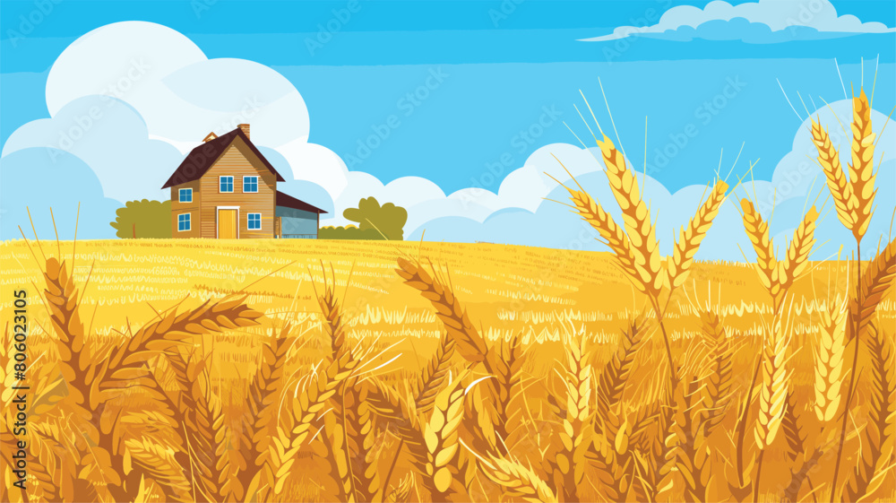 Golden wheat field ripe harvest, farmhouse background, blue sky. Countryside landscape, agriculture, farming concept, sunny day. Cartoon style illustration, rural farmland scene, food production