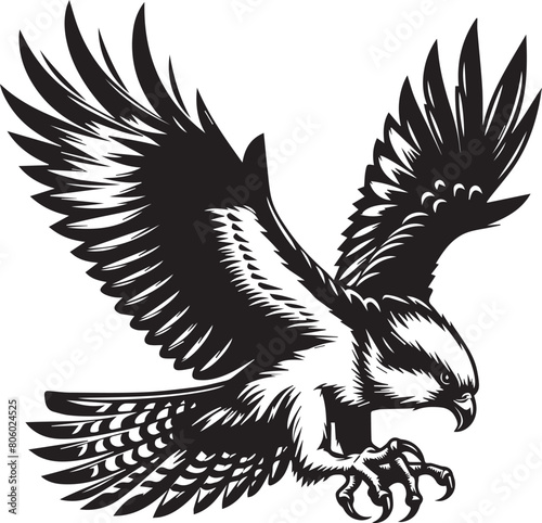 Amazing osprey or sea hawk trying to hunt Vector Illustration silhouette. An amazing picture of an osprey or sea hawk hunting a fish from the water.