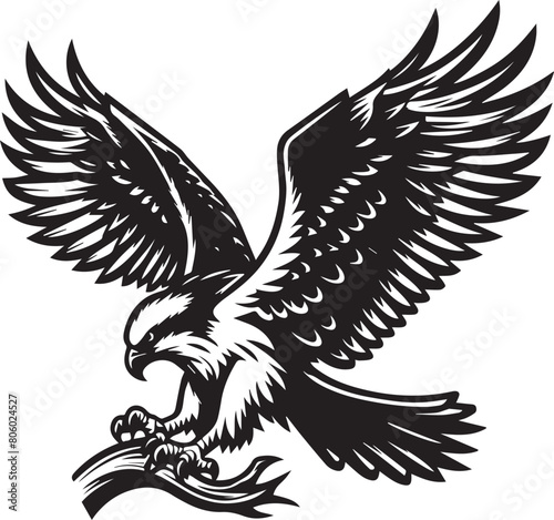 Amazing osprey or sea hawk trying to hunt Vector Illustration silhouette. An amazing picture of an osprey or sea hawk hunting a fish from the water.