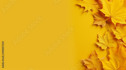 Autumn background with fall colors in trees and leaves with a lot of copy space 
