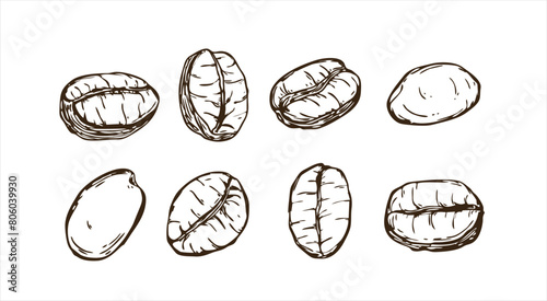 vector illustration of coffee beans line art sketch in hand drawing isolated on white background