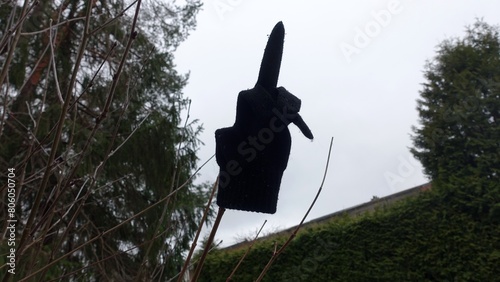 An abandoned black woolen glove, placed on a branch, showing the middle finger.